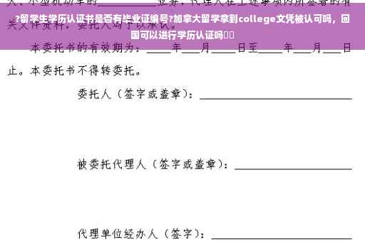 ?留学生学历认证书是否有毕业证编号?加拿大留学拿到college文凭被认可吗，回国可以进行学历认证吗⚡️