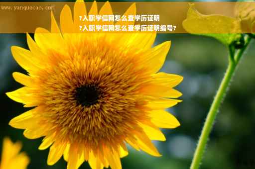 ?入职学信网怎么查学历证明
?入职学信网怎么查学历证明编号?
