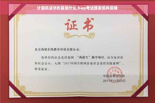 计算机证书名称是什么,bap考试颁发机构是啥 计算机证书名称是什么,bap考试颁发机构是啥