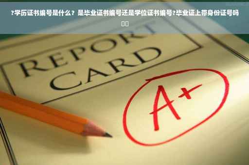 ?学历证书编号是什么？是毕业证书编号还是学位证书编号?毕业证上带身份证号吗⚡️