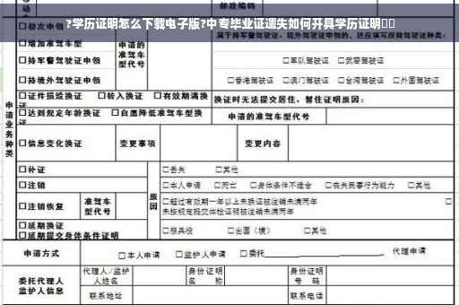 ?学历证明怎么下载电子版?中专毕业证遗失如何开具学历证明⚡️