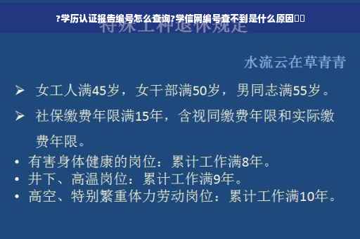 ?学历认证报告编号怎么查询?学信网编号查不到是什么原因⚡️