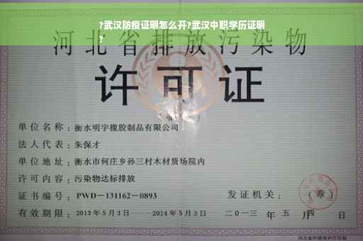 ?武汉防疫证明怎么开?武汉中职学历证明
?