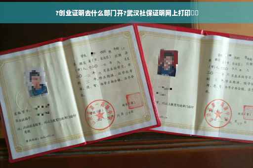 ?创业证明去什么部门开?武汉社保证明网上打印⚡️