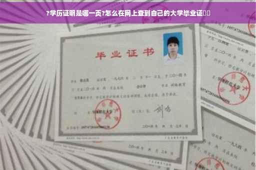 ?学历证明是哪一页?怎么在网上查到自己的大学毕业证⚡️