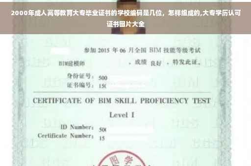 2000年成人高等教育大专毕业证书的学校编码是几位，怎样组成的,大专学历认可证书图片大全