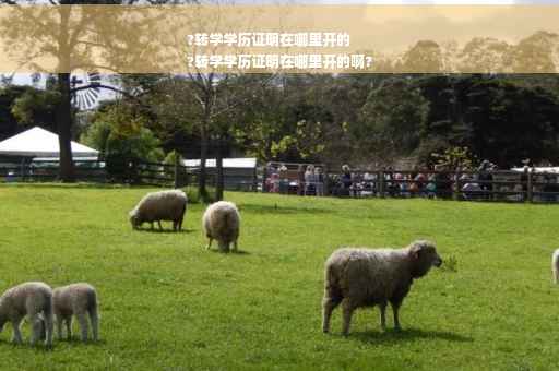 ?转学学历证明在哪里开的
?转学学历证明在哪里开的啊?