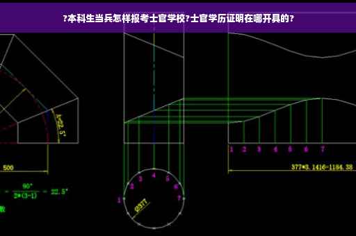 ?本科生当兵怎样报考士官学校?士官学历证明在哪开具的?