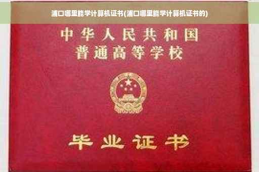 浦口哪里能学计算机证书(浦口哪里能学计算机证书的)