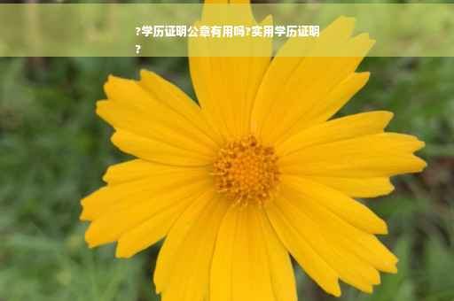 ?学历证明公章有用吗?实用学历证明
?