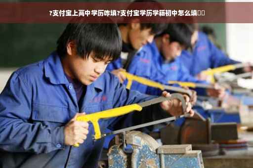 ?支付宝上高中学历咋填?支付宝学历学籍初中怎么填⚡️