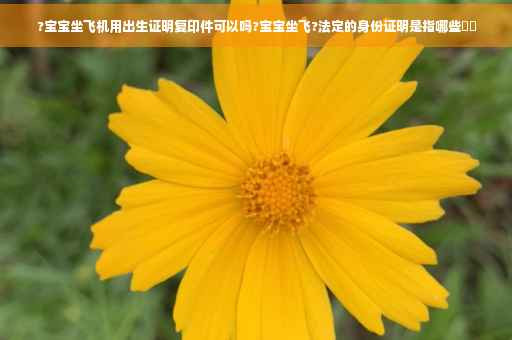 ?宝宝坐飞机用出生证明复印件可以吗?宝宝坐飞?法定的身份证明是指哪些⚡️