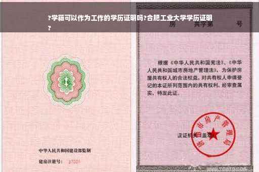 ?学籍可以作为工作的学历证明吗?合肥工业大学学历证明
?