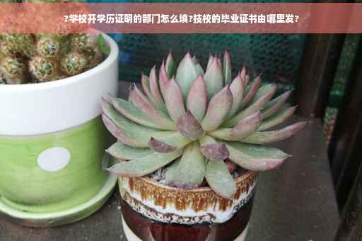 ?学校开学历证明的部门怎么填?技校的毕业证书由哪里发?