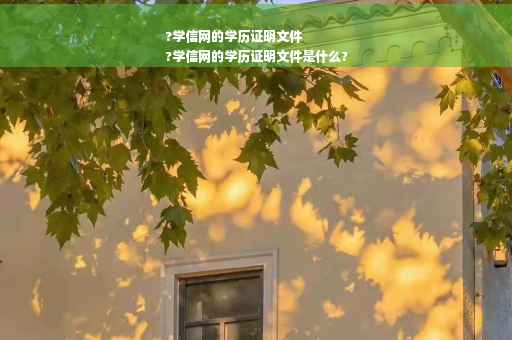 ?学信网的学历证明文件
?学信网的学历证明文件是什么?