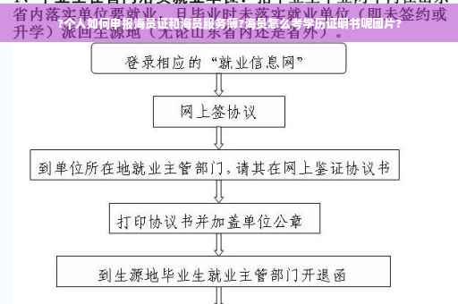 ?个人如何申报海员证和海员服务簿?海员怎么考学历证明书呢图片?