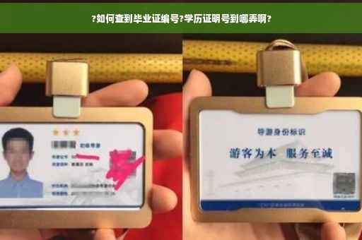 ?如何查到毕业证编号?学历证明号到哪弄啊?