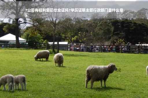 ?公司有权利复印毕业证吗?学历证明主管行政部门盖什么章
?