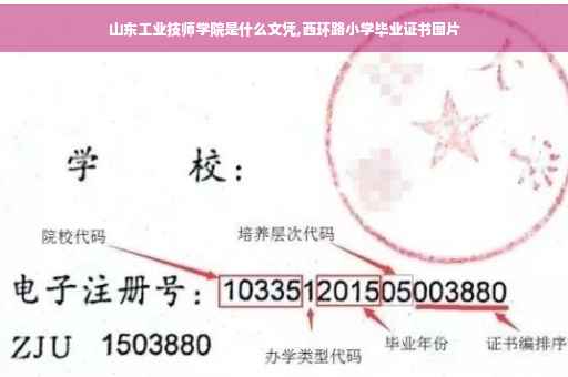 山东工业技师学院是什么文凭,西环路小学毕业证书图片