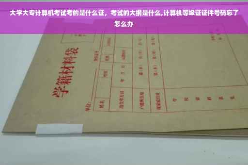 大学大专计算机考试考的是什么证，考试的大纲是什么,计算机等级证证件号码忘了怎么办