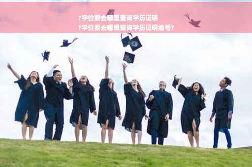 ?学位要去哪里查询学历证明
?学位要去哪里查询学历证明编号?