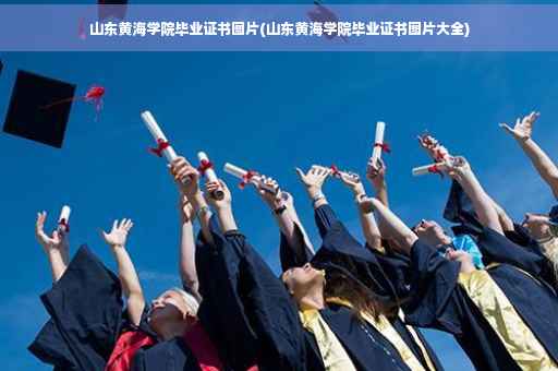 山东黄海学院毕业证书图片(山东黄海学院毕业证书图片大全)