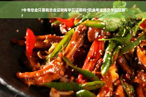 ?中专毕业只要有毕业证就有学历证明吗?职业考试提交学历证明
?