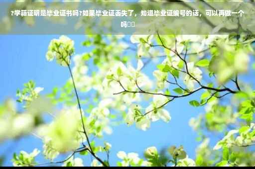 ?学籍证明是毕业证书吗?如果毕业证丢失了，知道毕业证编号的话，可以再做一个吗⚡️