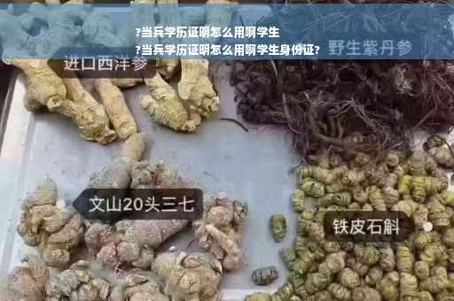 ?当兵学历证明怎么用啊学生
?当兵学历证明怎么用啊学生身份证?