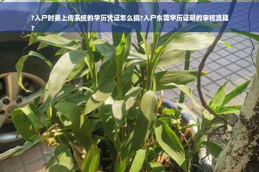 ?入户时要上传系统的学历凭证怎么搞?入户东莞学历证明的审核流程
?