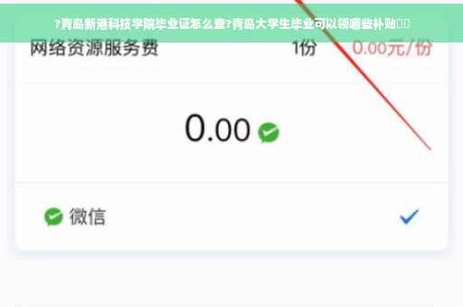 ?青岛新港科技学院毕业证怎么查?青岛大学生毕业可以领哪些补贴⚡️