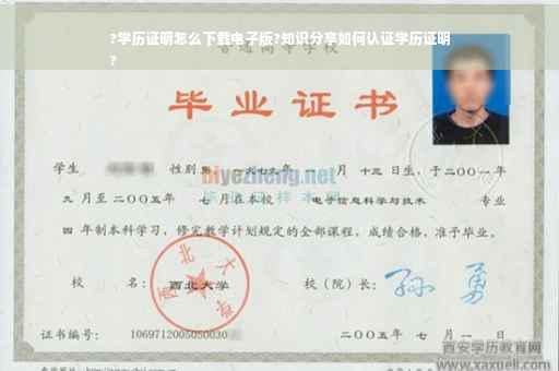 ?学历证明怎么下载电子版?知识分享如何认证学历证明
?