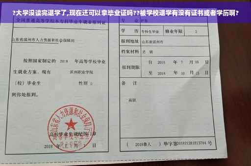 ?大学没读完退学了,现在还可以拿毕业证吗??被学校退学有没有证书或者学历啊?
