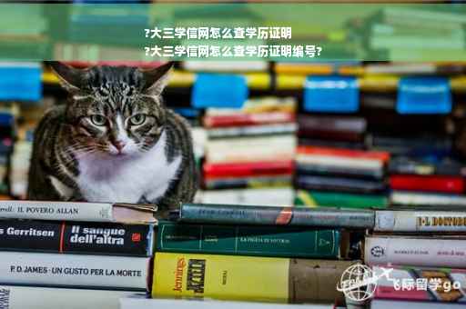 ?大三学信网怎么查学历证明
?大三学信网怎么查学历证明编号?