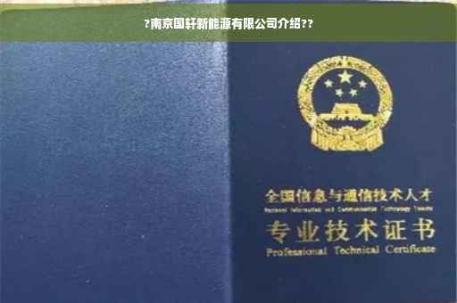 ?南京国轩新能源有限公司介绍??