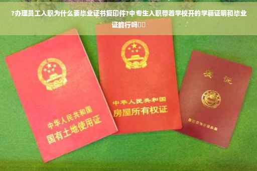 ?办理员工入职为什么要毕业证书复印件?中专生入职带着学校开的学籍证明和毕业证能行吗⚡️