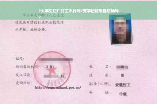 ?大学生进厂打工不行吗?有学历证明能进场吗
?