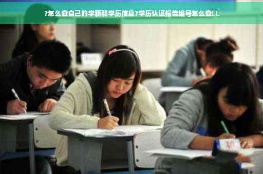 ?怎么查自己的学籍和学历信息?学历认证报告编号怎么查⚡️