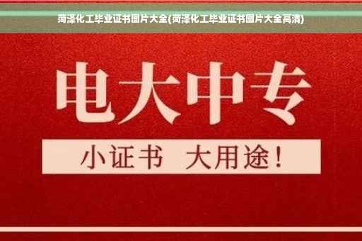 菏泽化工毕业证书图片大全(菏泽化工毕业证书图片大全高清)
