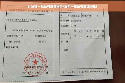 计算机一级证书查询网(计算机一级证书查询网址)