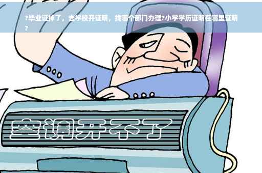 ?毕业证掉了，去学校开证明，找哪个部门办理?小学学历证明在哪里证明
?
