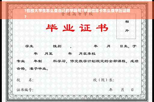 ?在校大学生怎么查自己的学籍号?学籍信息卡怎么查学历证明
?