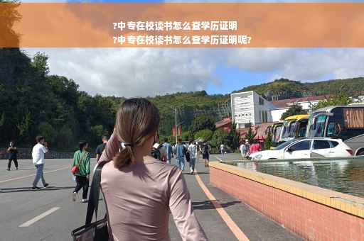 ?中专在校读书怎么查学历证明
?中专在校读书怎么查学历证明呢?
