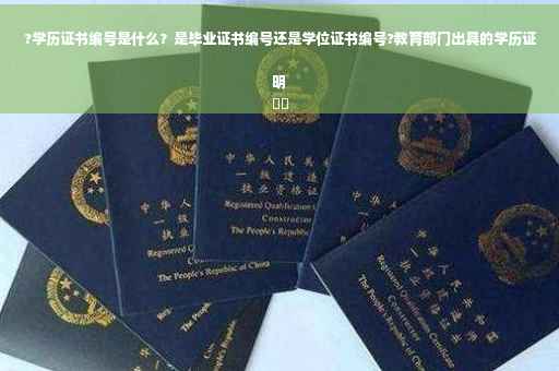 ?学历证书编号是什么？是毕业证书编号还是学位证书编号?教育部门出具的学历证明
⚡️
