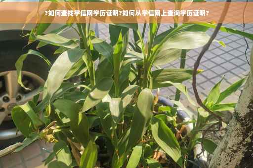 ?如何查找学信网学历证明?如何从学信网上查询学历证明?