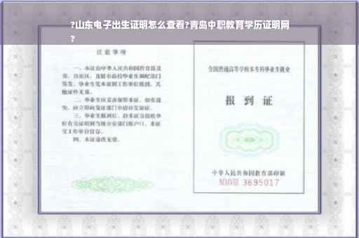 ?山东电子出生证明怎么查看?青岛中职教育学历证明网
?