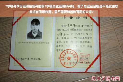 ?学校开学历证明在哪开的啊?学校毕业证明好开吗，有了毕业证证明是不是就和毕业证有同等效用。需不需要加盖教育局的公章?
