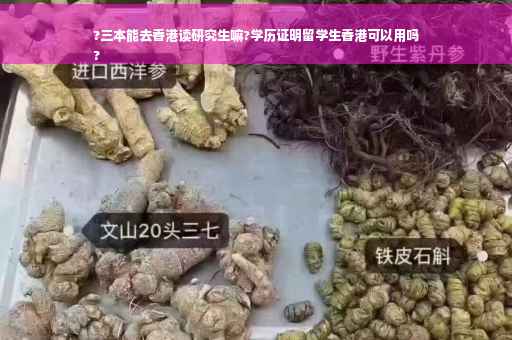 ?三本能去香港读研究生嘛?学历证明留学生香港可以用吗
?