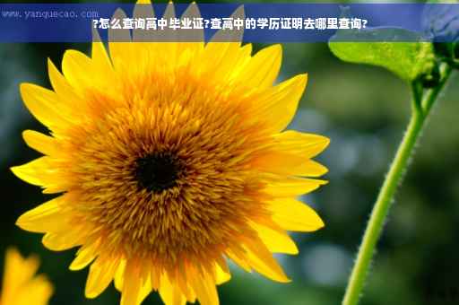 ?怎么查询高中毕业证?查高中的学历证明去哪里查询?