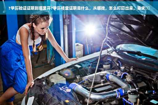 ?学历验证证明到哪里开?学历核查证明是什么，从哪找，怎么打印出来，急求⚡️